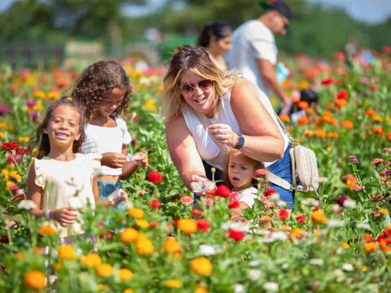 Spring & Summer Field Trip Deposit